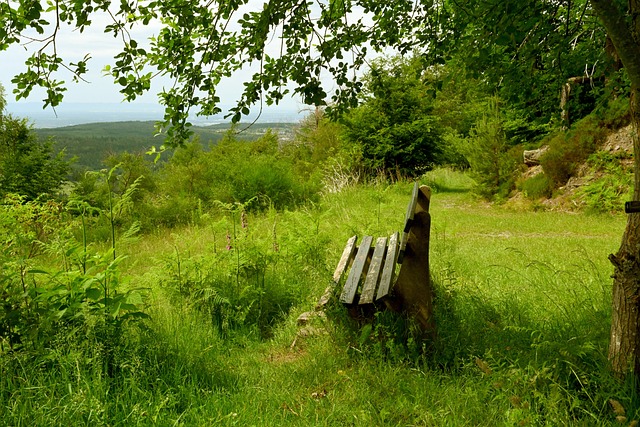 智慧农场 智慧农场