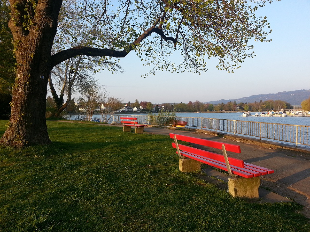 他勇敢地启 他勇敢地启