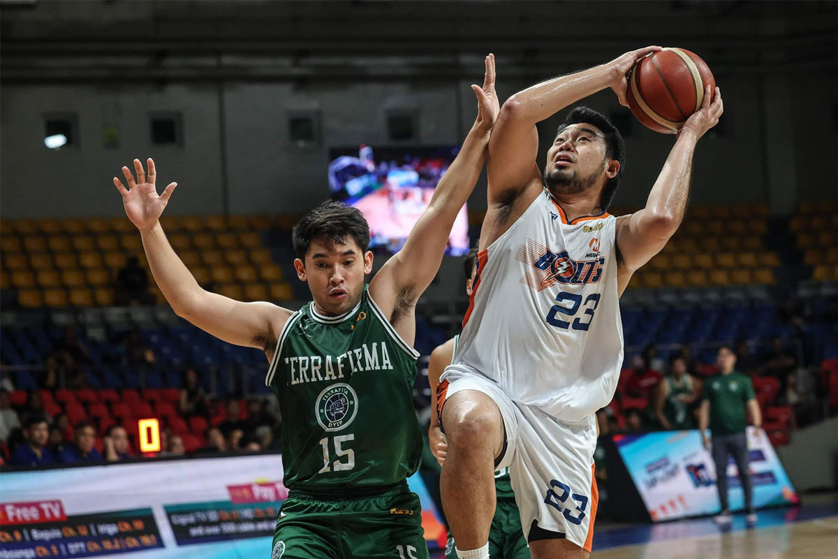 森林狼加强 森林狼加强