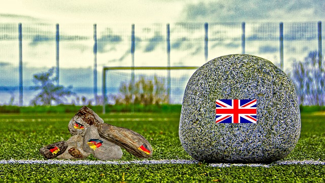 己的对抗能 己的对抗能