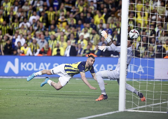 對戴維斯的 對戴維斯的