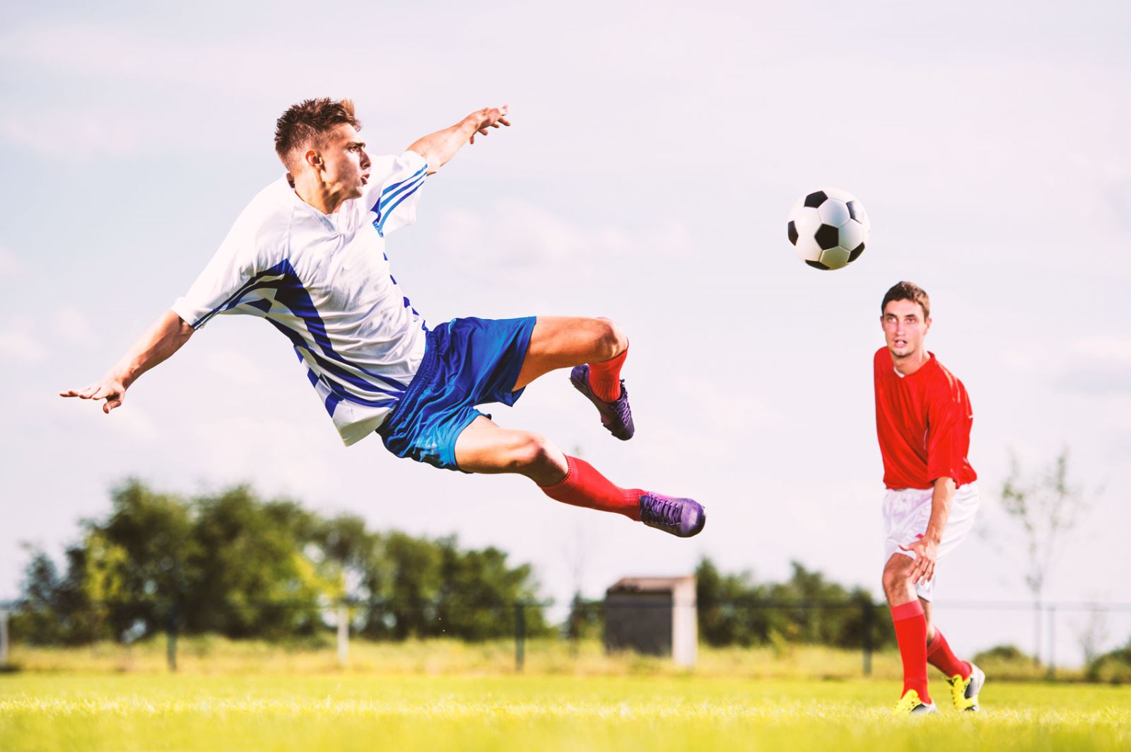 这无疑将是 这无疑将是